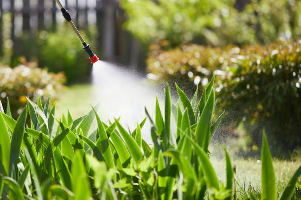 Tamper-Resistant Bait Stations for Rodents in Addison
