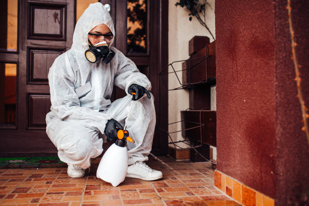 Attic and Crawl Space Rodent Treatment in Addison
